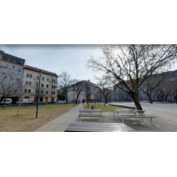 balzs_bla_utcai_kutyafuttat