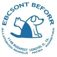 ebcsontbeforr_logo_1136346344