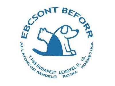 ebcsontbeforr_logo_1623099220