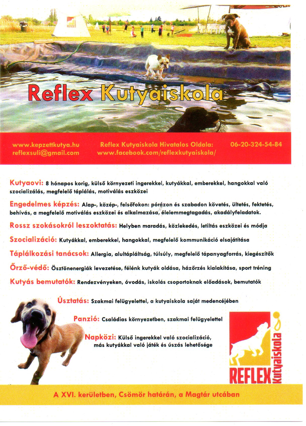 reflex