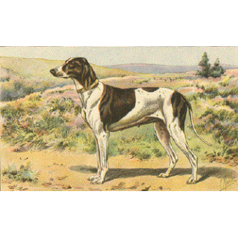 dupuy
